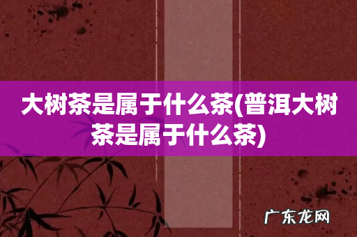 普洱大树茶是属于什么茶 大树茶是属于什么茶