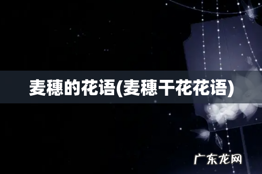 麦穗干花花语 麦穗的花语