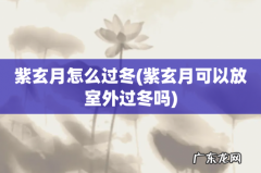 紫玄月可以放室外过冬吗 紫玄月怎么过冬