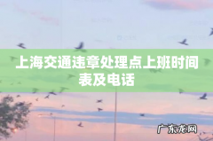 上海交通违章处理点上班时间表及电话