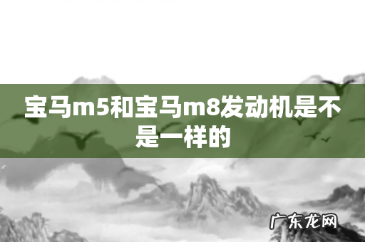 宝马m5和宝马m8发动机是不是一样的