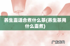 养生茶用什么壶煮 养生壶适合煮什么茶