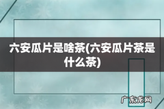 六安瓜片茶是什么茶 六安瓜片是啥茶