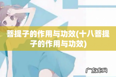 十八菩提子的作用与功效 菩提子的作用与功效