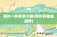 茶叶有哪些品种 茶叶一共有多少种