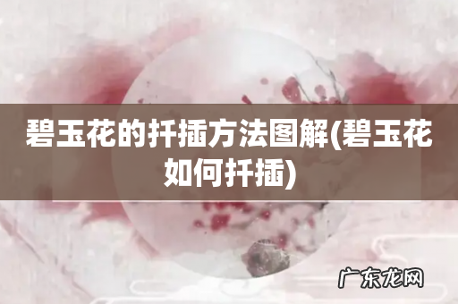 碧玉花如何扦插 碧玉花的扦插方法图解