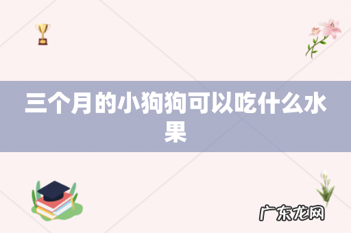 三个月的小狗狗可以吃什么水果