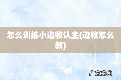 边牧怎么教 怎么训练小边牧认主