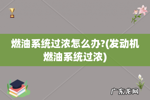 发动机燃油系统过浓 燃油系统过浓怎么办?