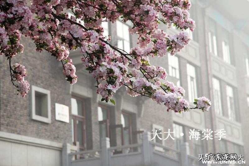 天津大学有哪些有特色的校园活动？