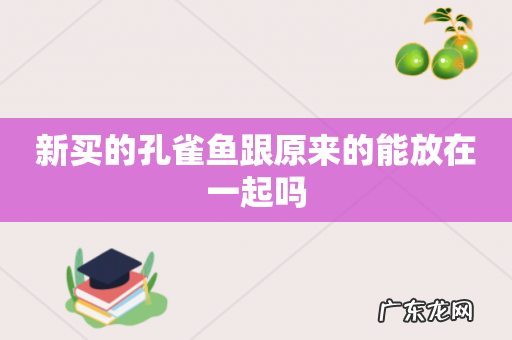 新买的孔雀鱼跟原来的能放在一起吗