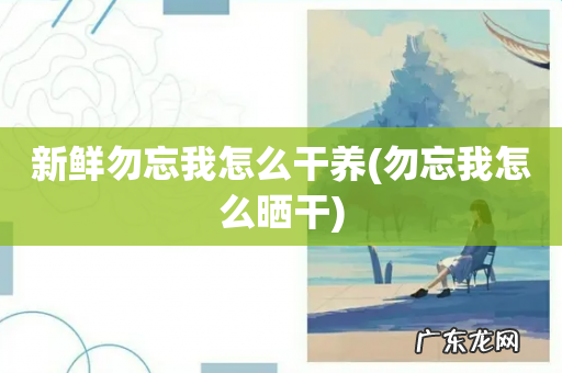 勿忘我怎么晒干 新鲜勿忘我怎么干养