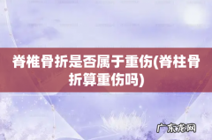 脊柱骨折算重伤吗 脊椎骨折是否属于重伤