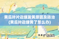 黄瓜叶边缘黄了怎么办 黄瓜叶片边缘发黄原因及防治