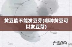 哪种黄豆可以发豆芽 黄豆能不能发豆芽