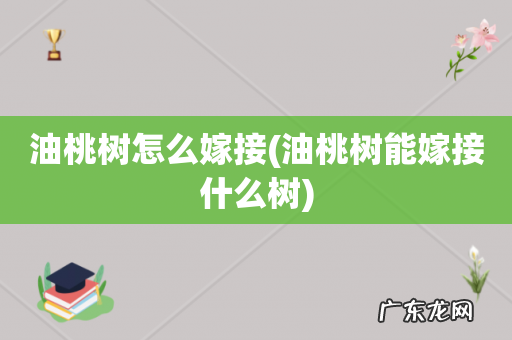 油桃树能嫁接什么树 油桃树怎么嫁接