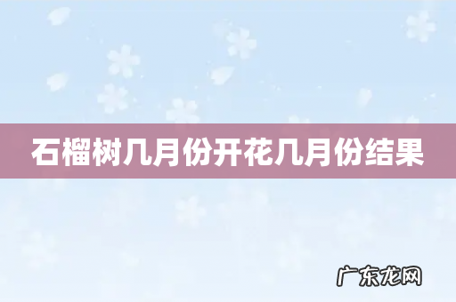 石榴树几月份开花几月份结果