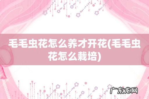 毛毛虫花怎么栽培 毛毛虫花怎么养才开花