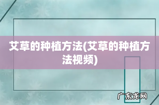 艾草的种植方法视频 艾草的种植方法