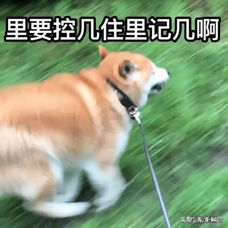 脚上长小水泡很痒怎么治 脚上起小水泡很痒是怎么回事图片