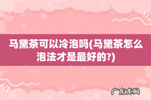 马黛茶怎么泡法才是最好的? 马黛茶可以冷泡吗