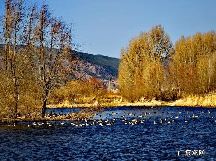 大理洱海哪里海景最好看 大理洱海哪里风景好