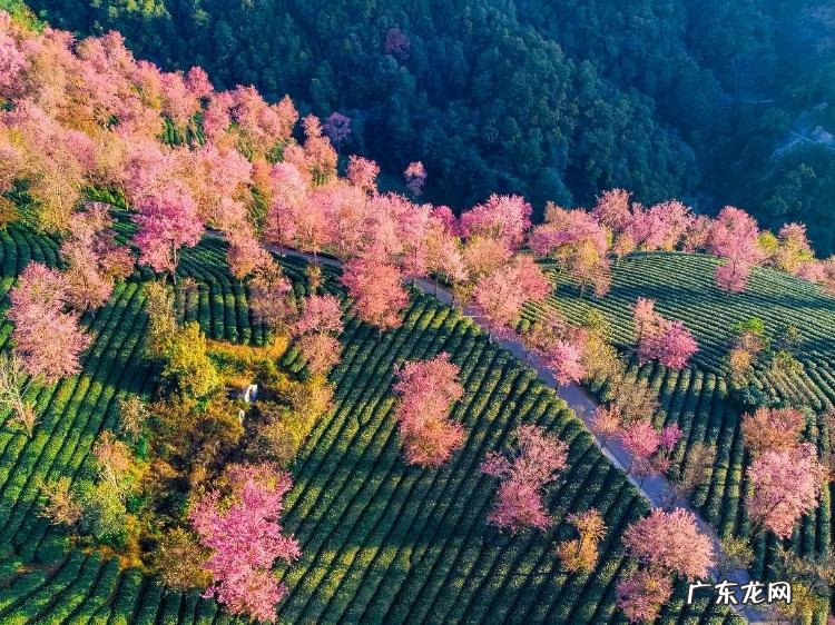 大理洱海哪里海景最好看 大理洱海哪里风景好
