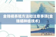 金钱橘种植技术 金钱橘养殖方法和注意事项