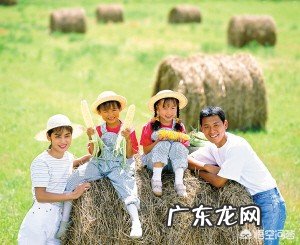 孩子9月份小升初,明天是童年最后一次六一儿童节,怎样过让孩子留有最美好的回忆?