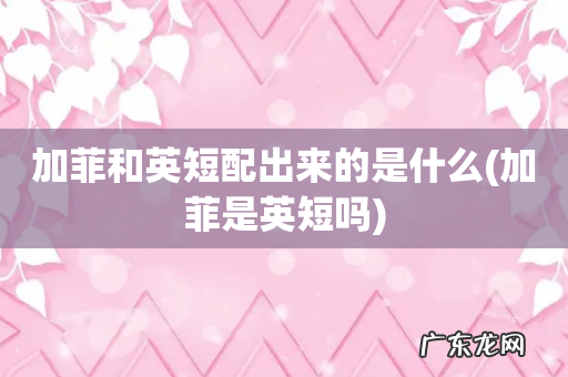 加菲是英短吗 加菲和英短配出来的是什么