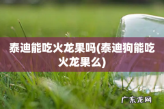 泰迪狗能吃火龙果么 泰迪能吃火龙果吗