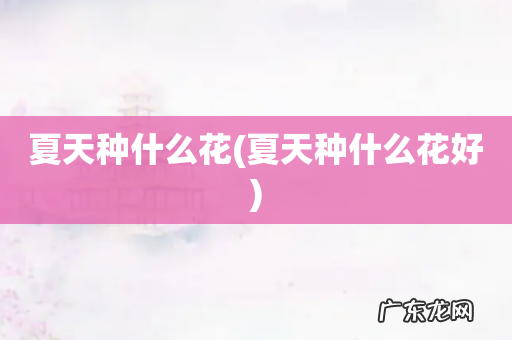 夏天种什么花好 夏天种什么花