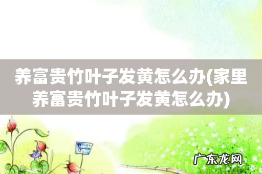 家里养富贵竹叶子发黄怎么办 养富贵竹叶子发黄怎么办