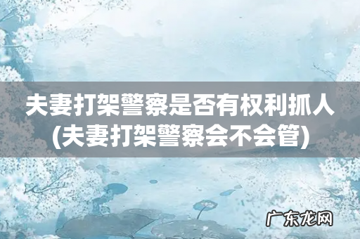 夫妻打架警察会不会管 夫妻打架警察是否有权利抓人