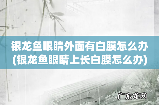 银龙鱼眼睛上长白膜怎么办 银龙鱼眼睛外面有白膜怎么办