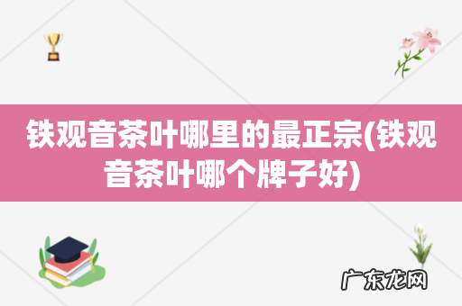铁观音茶叶哪个牌子好 铁观音茶叶哪里的最正宗
