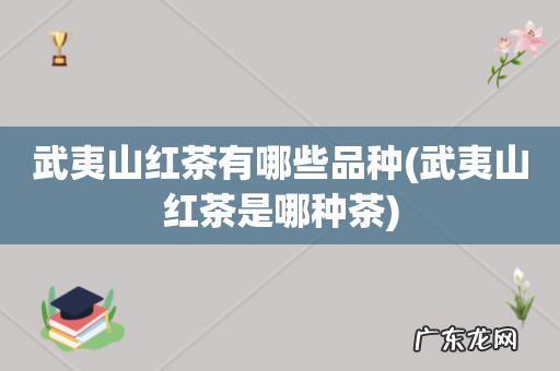 武夷山红茶是哪种茶 武夷山红茶有哪些品种