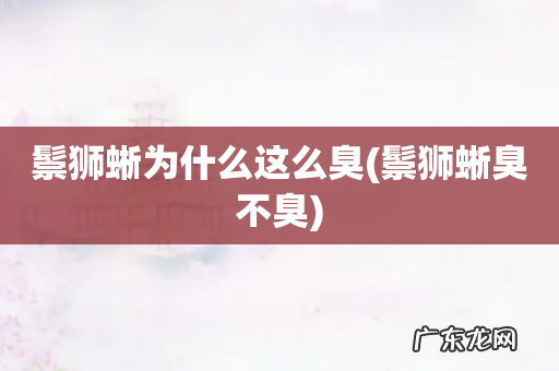 鬃狮蜥臭不臭 鬃狮蜥为什么这么臭