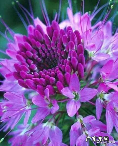 恋爱中男生最幸福的时刻是什么时候?