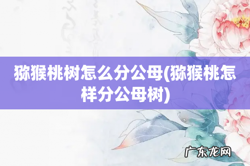 猕猴桃怎样分公母树 猕猴桃树怎么分公母