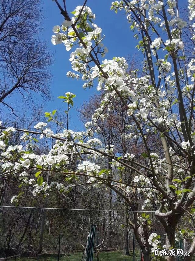 青春校园小说名字大全 叶芊芊