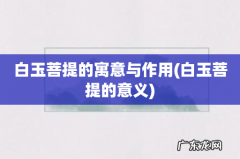白玉菩提的意义 白玉菩提的寓意与作用
