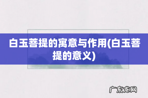 白玉菩提的意义 白玉菩提的寓意与作用