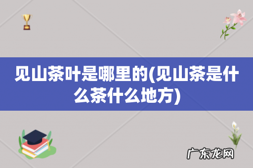见山茶是什么茶什么地方 见山茶叶是哪里的