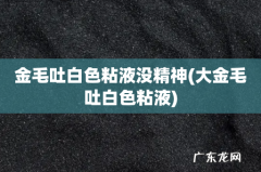 大金毛吐白色粘液 金毛吐白色粘液没精神
