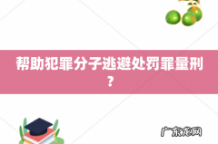 帮助犯罪分子逃避处罚罪量刑？