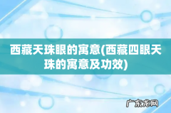 西藏四眼天珠的寓意及功效 西藏天珠眼的寓意