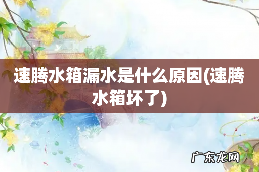 速腾水箱坏了 速腾水箱漏水是什么原因