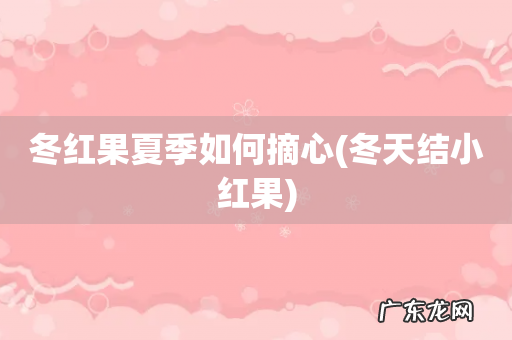 冬天结小红果 冬红果夏季如何摘心