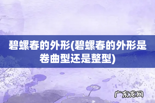 碧螺春的外形是卷曲型还是整型 碧螺春的外形